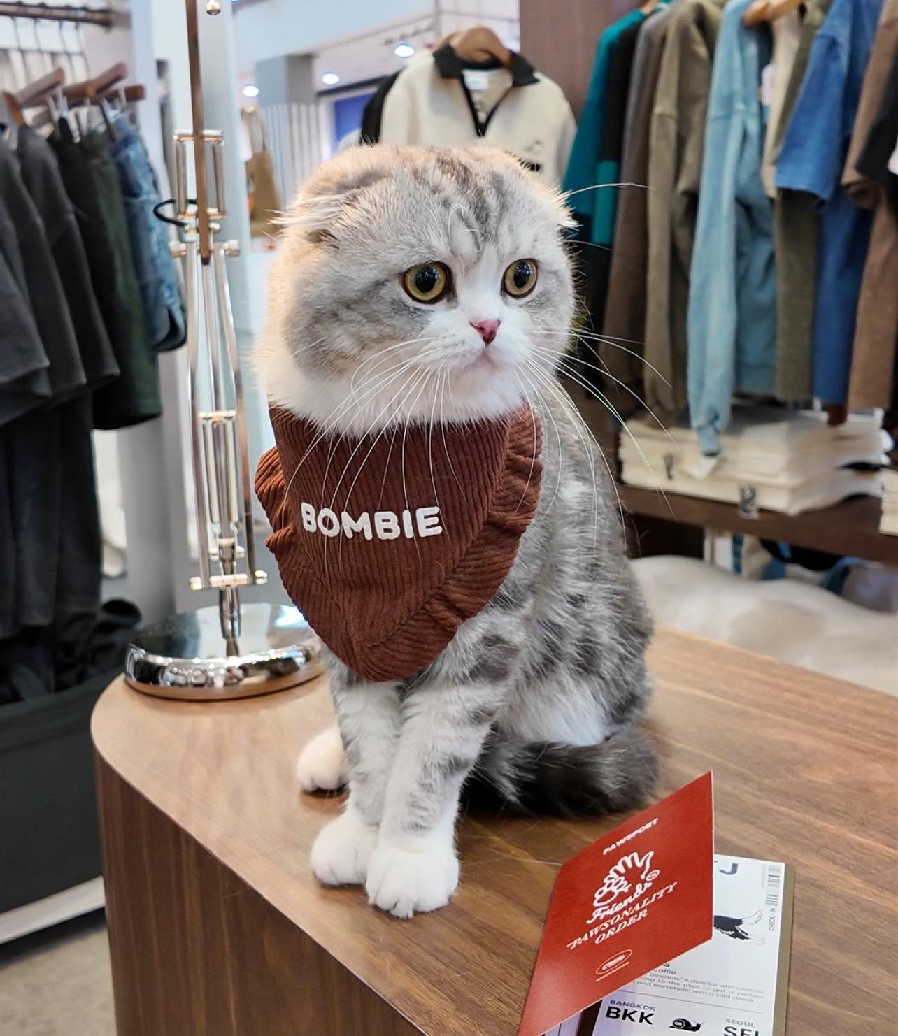 Bombie ในงานอีเวนต์