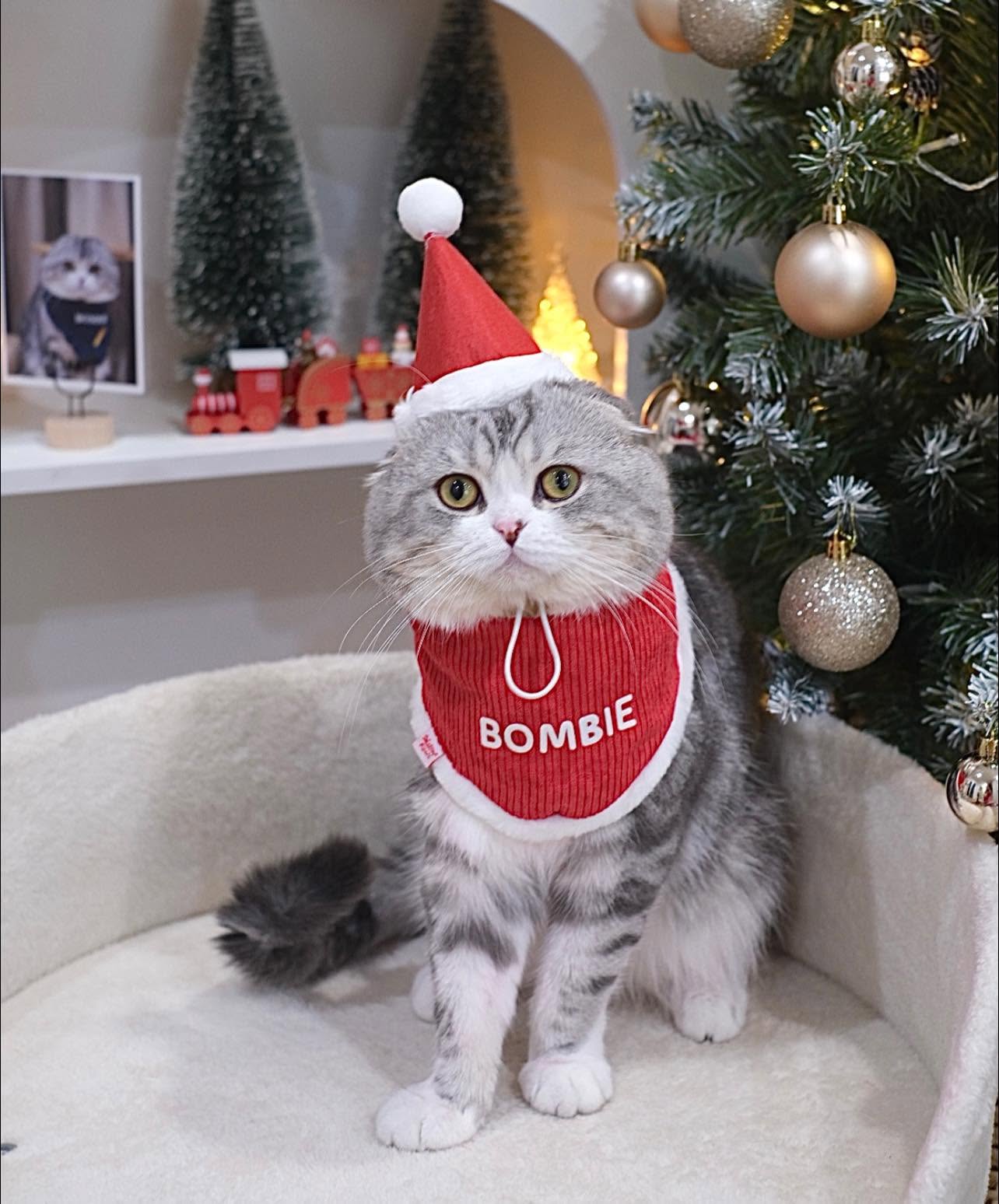 Bombie ในชุดเทศกาล