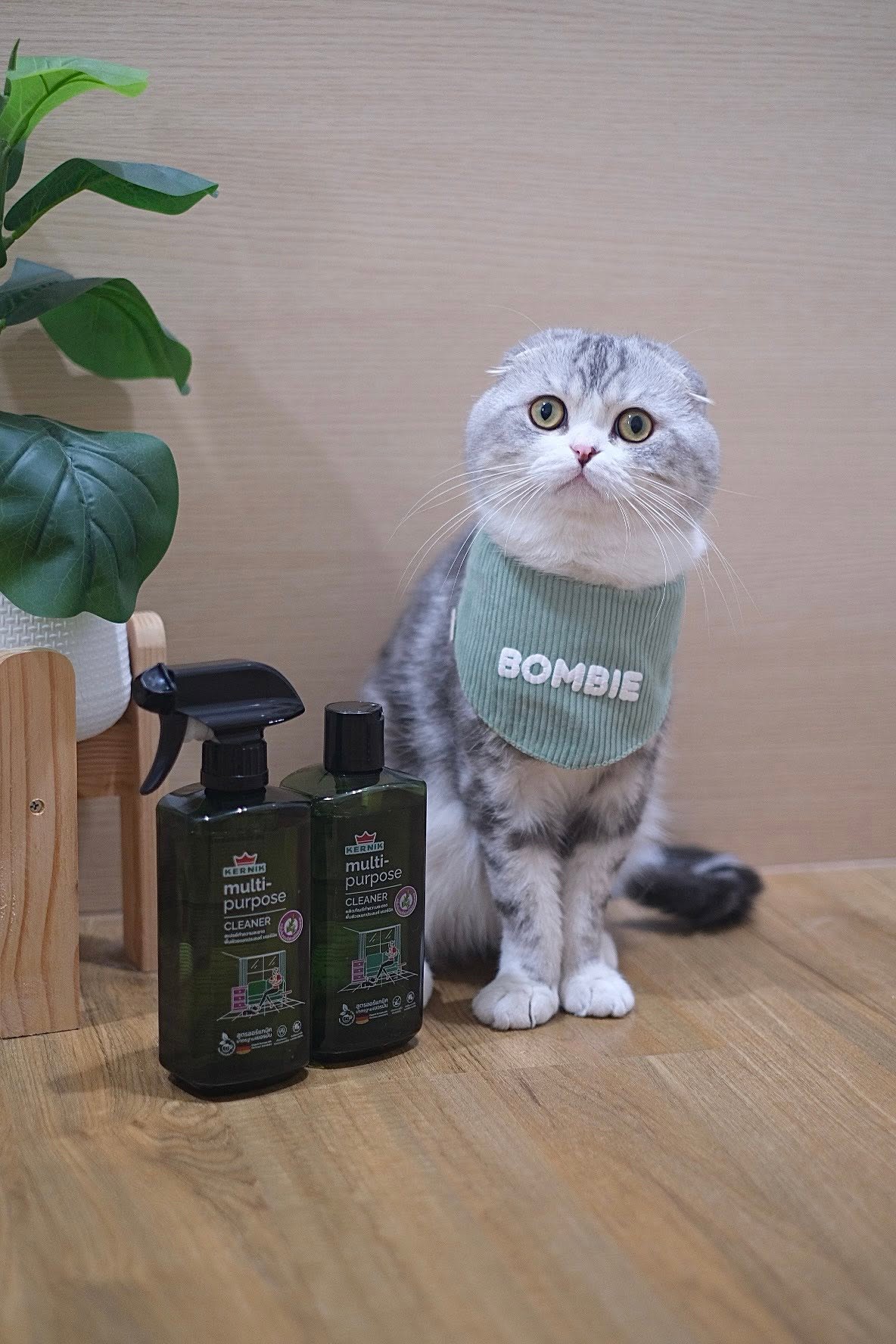 Bombie กับสินค้าไลฟ์สไตล์