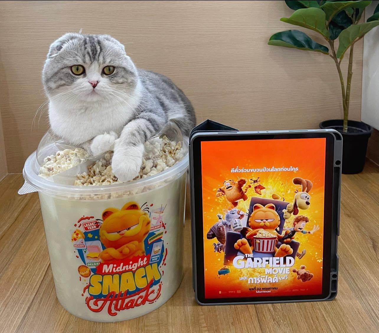Bombie รีวิวขนมสัตว์เลี้ยง